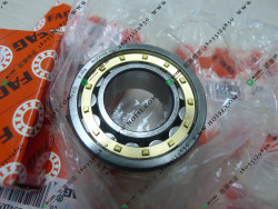 FAG NJ2205E.M1.C3 FAG NJ2205E.M1.C3