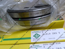INA 61819-2RS-Y